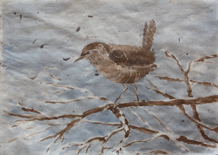 Vogel plaatjes Winterkoninkje 