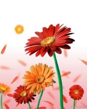 Bloemen Wallpapers Iphone 