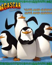 Films Wallpapers Iphone Pinguins Van Madagascar