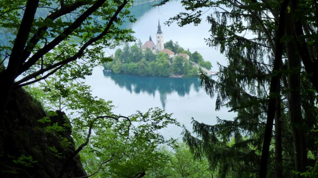 Wallpapers amateur 
