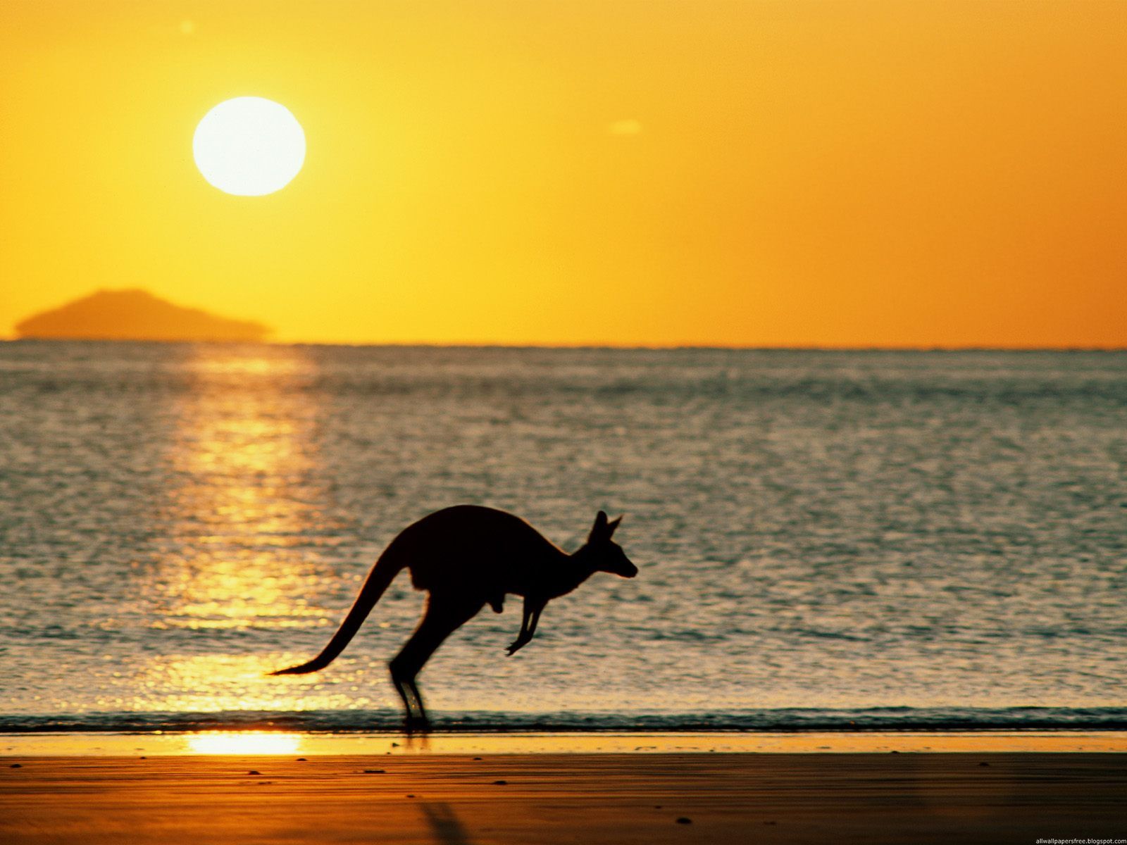 Australie Wallpapers 