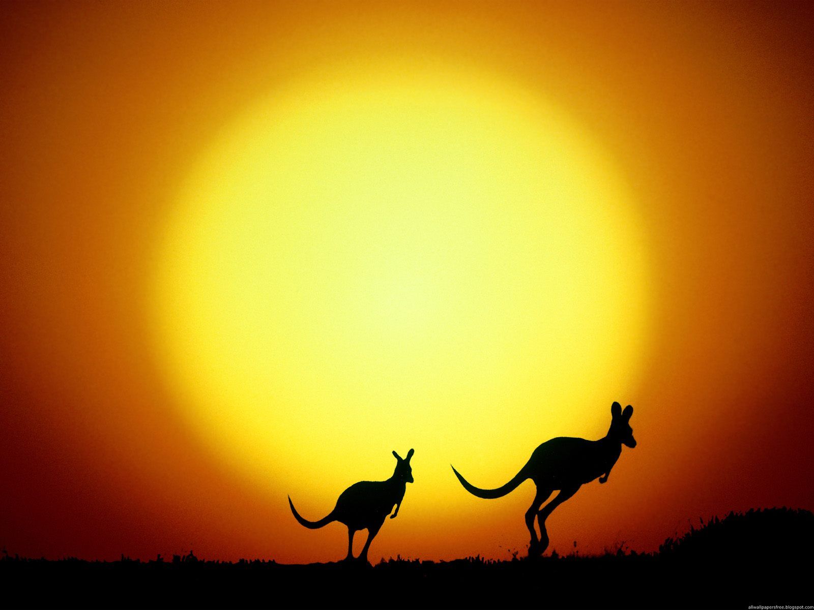 Australie Wallpapers 
