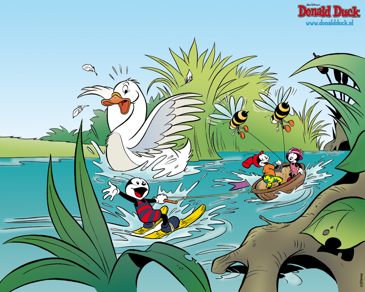 Wallpapers donald duck en vrienden 