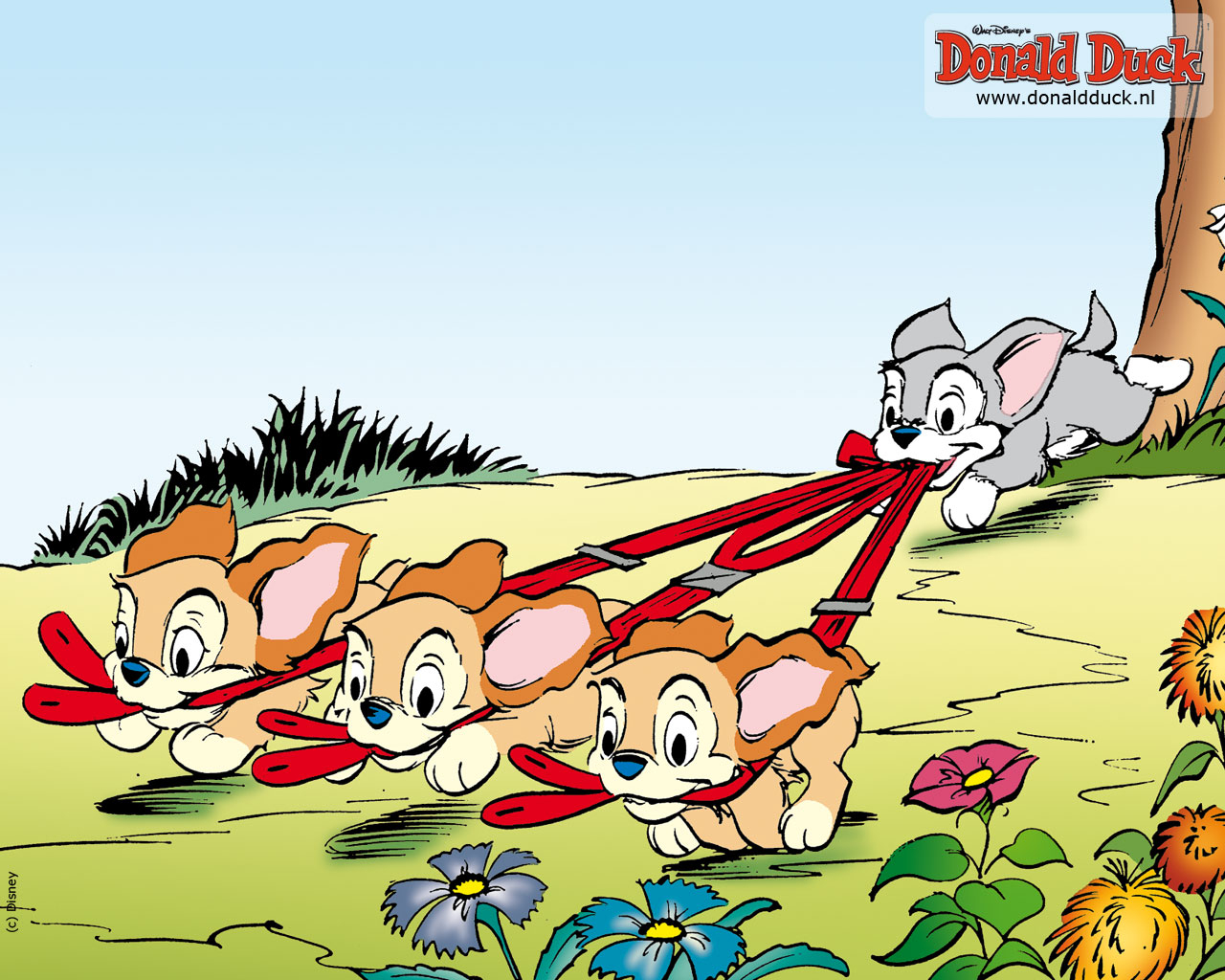 Wallpapers donald duck en vrienden 
