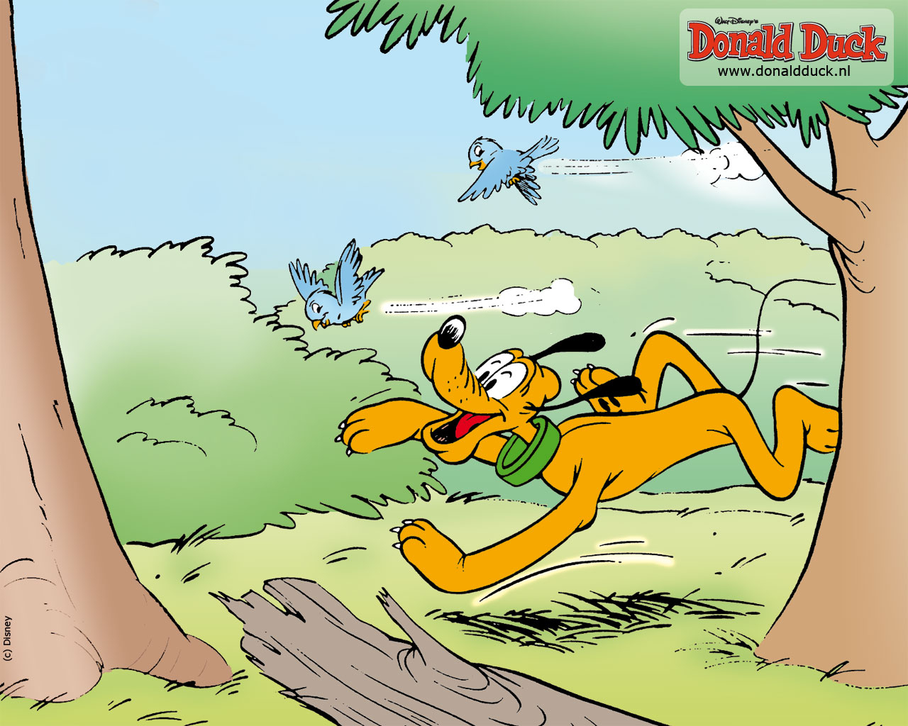 Wallpapers donald duck en vrienden 