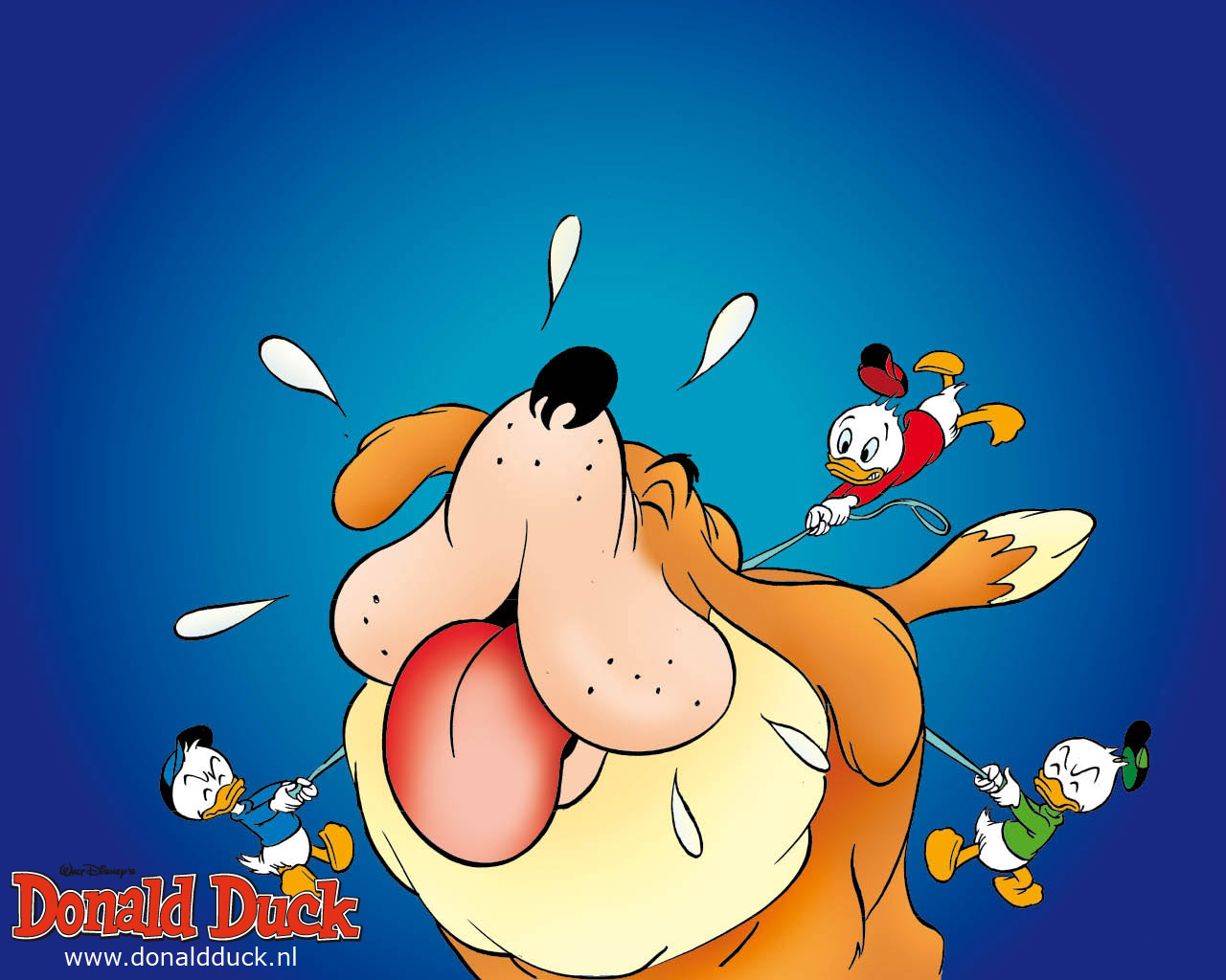 Wallpapers donald duck en vrienden 