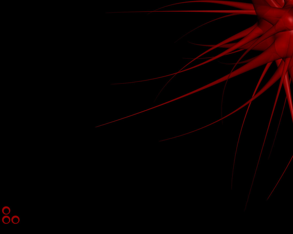 Wallpapers Donker 