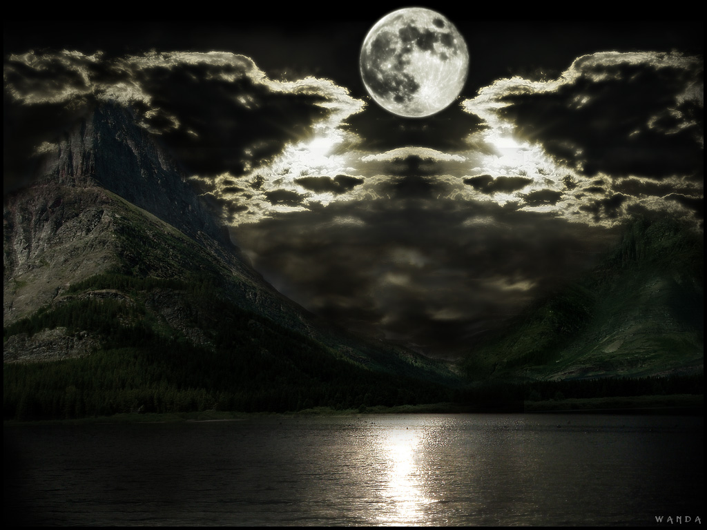 Wallpapers Donker 