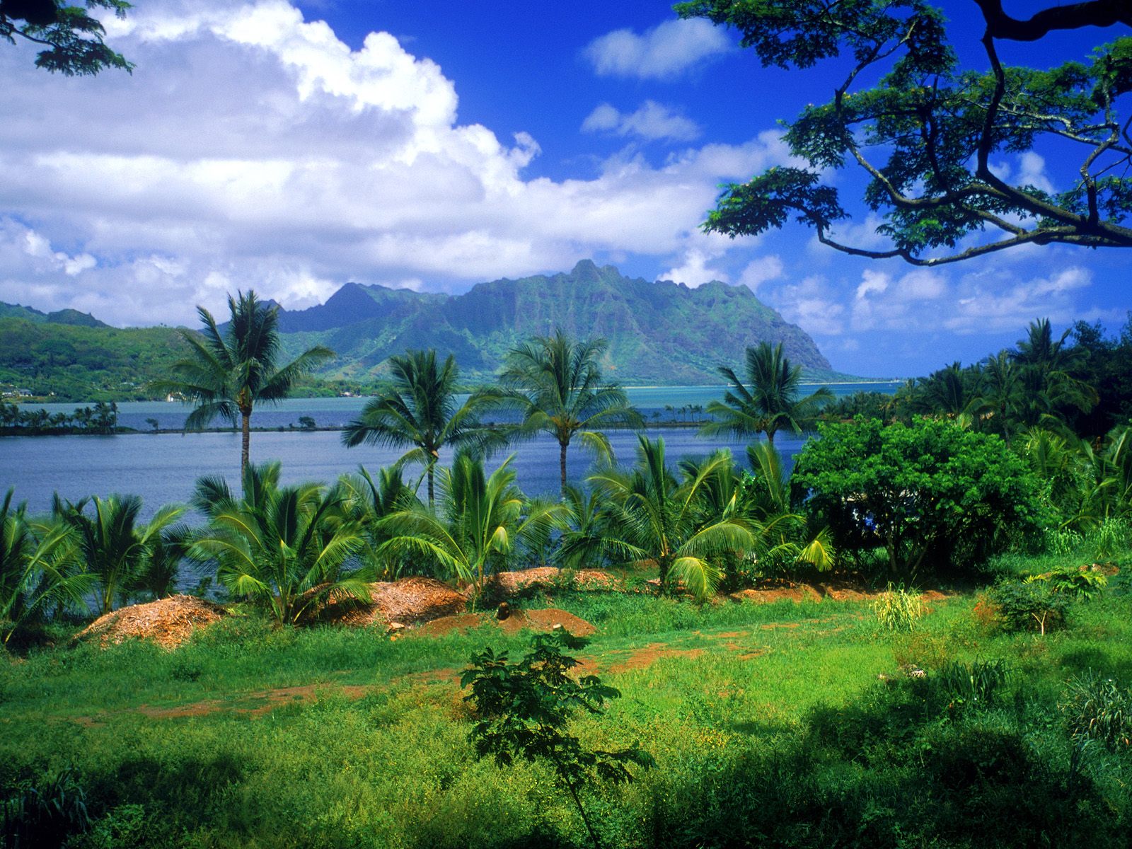 Hawaii Wallpapers 