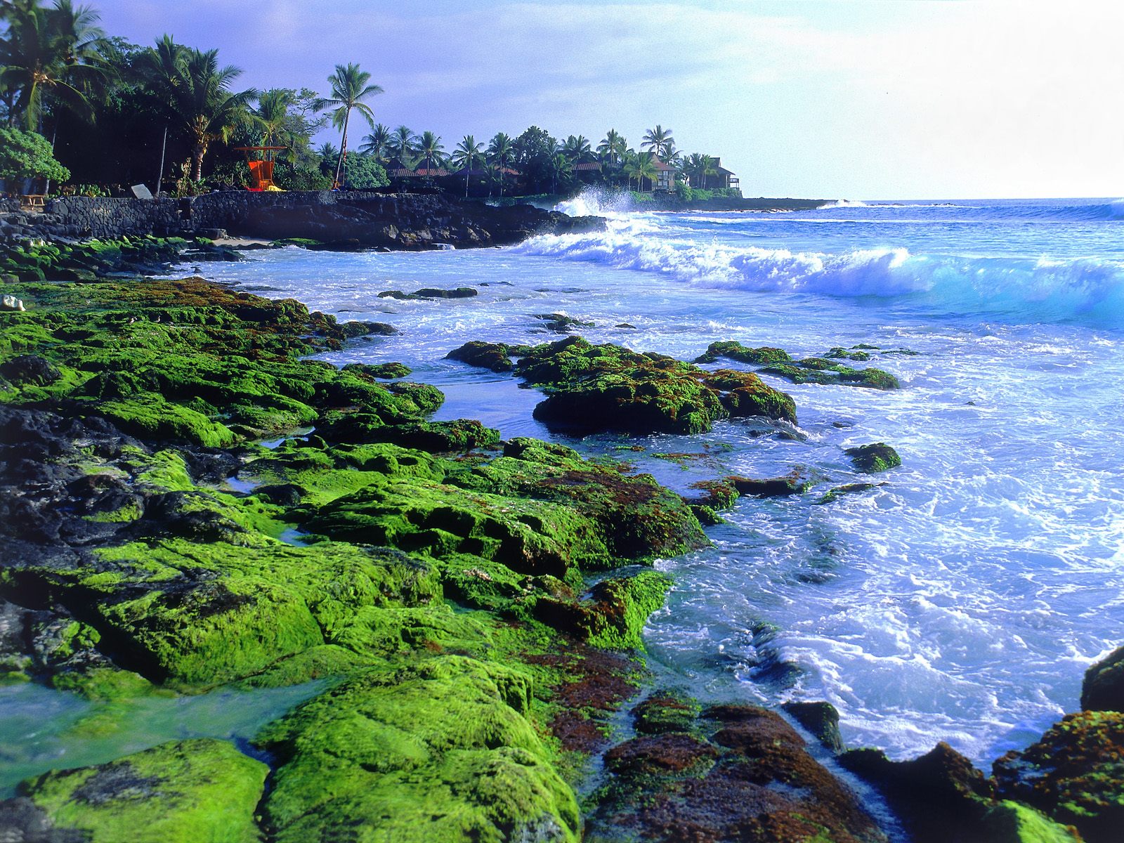 Hawaii Wallpapers 