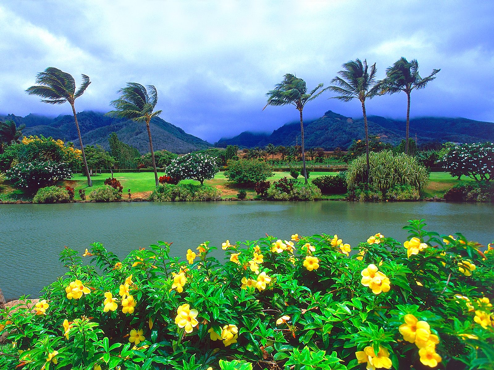 Hawaii Wallpapers 