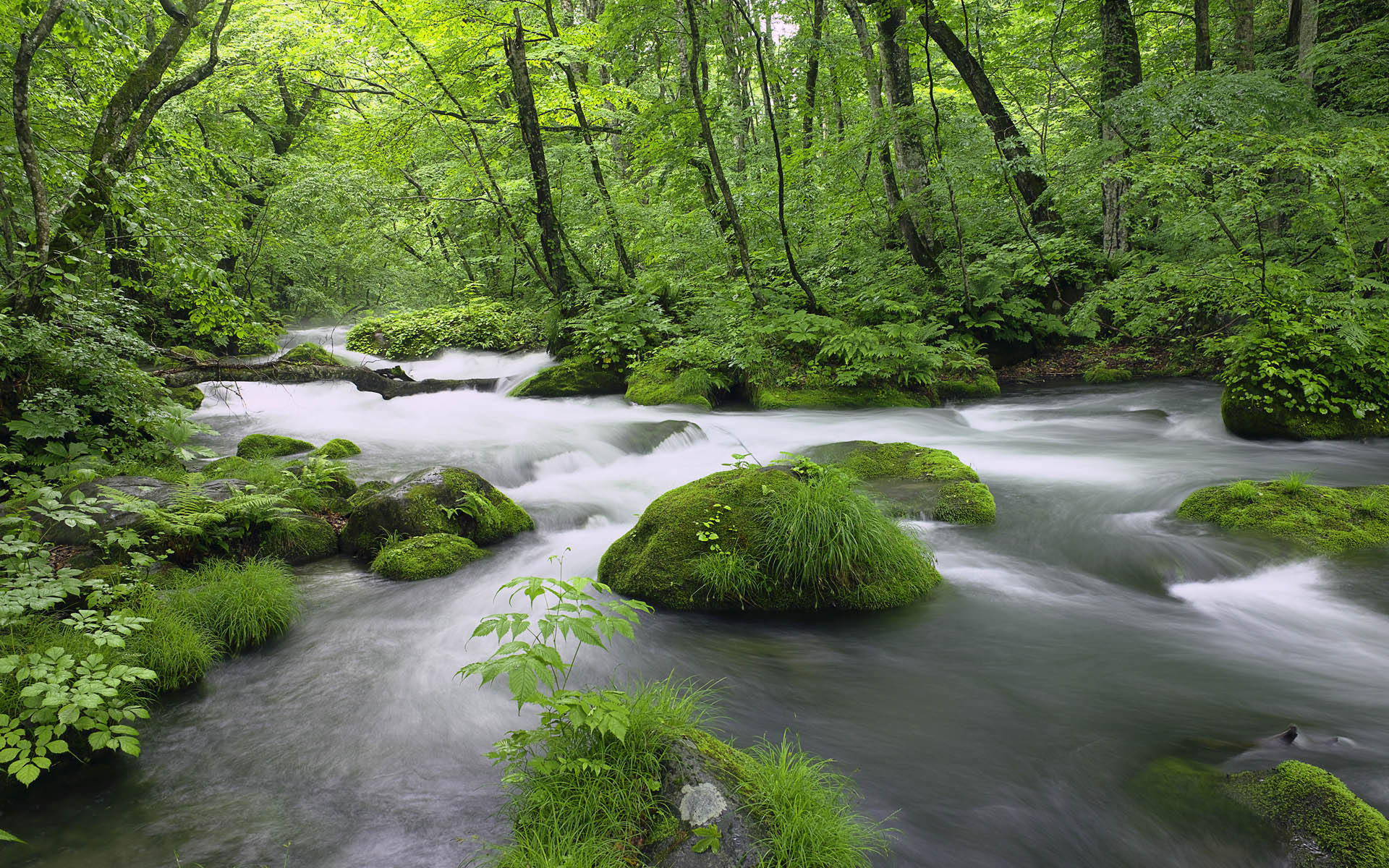 Wallpapers Landschap 
