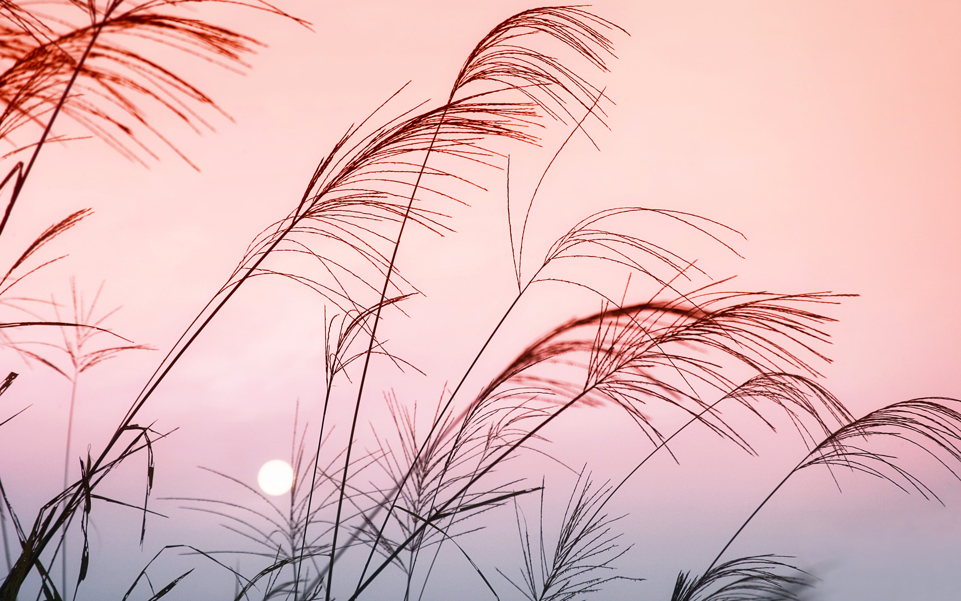 Wallpapers Landschap 