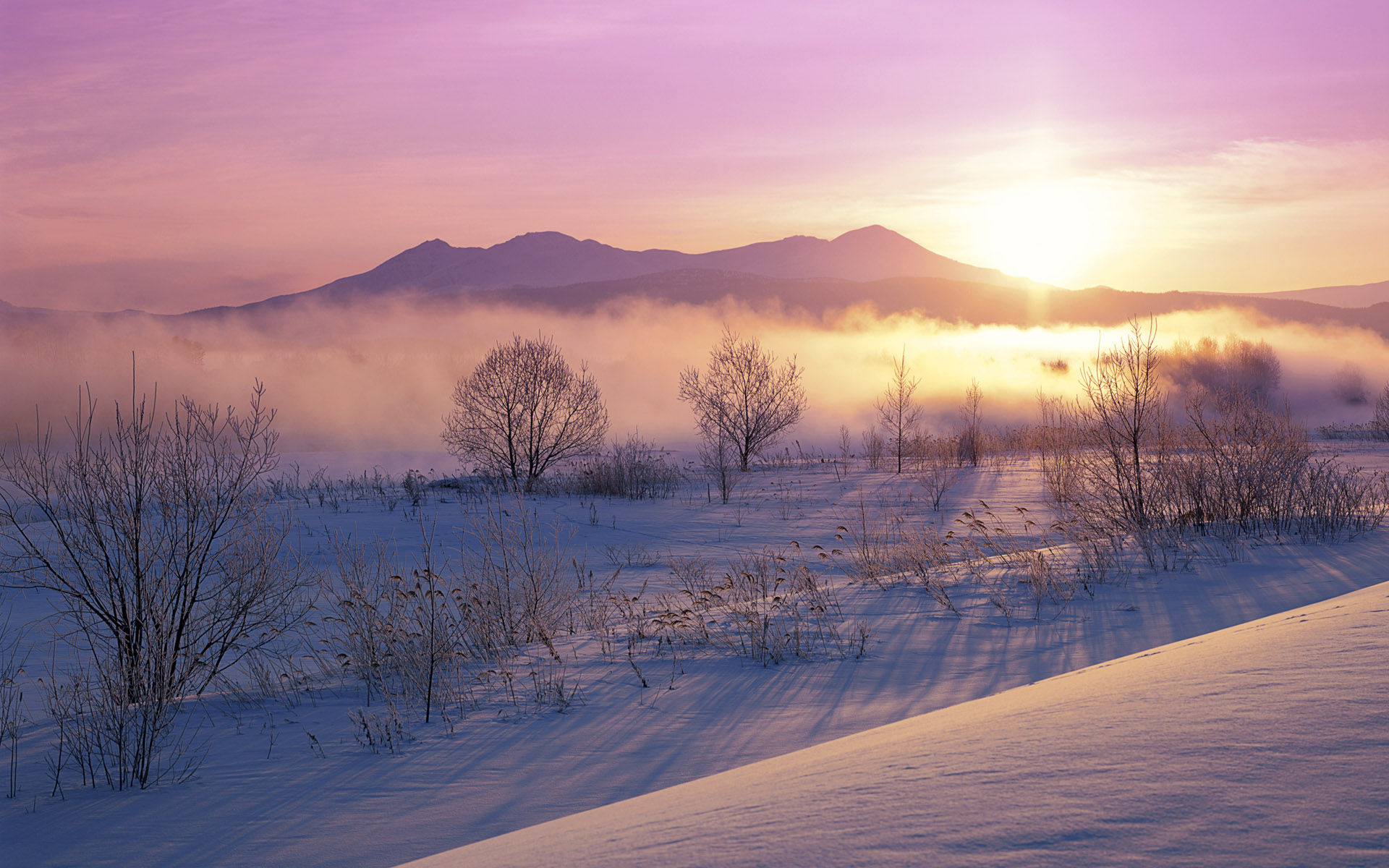 Wallpapers Landschap 