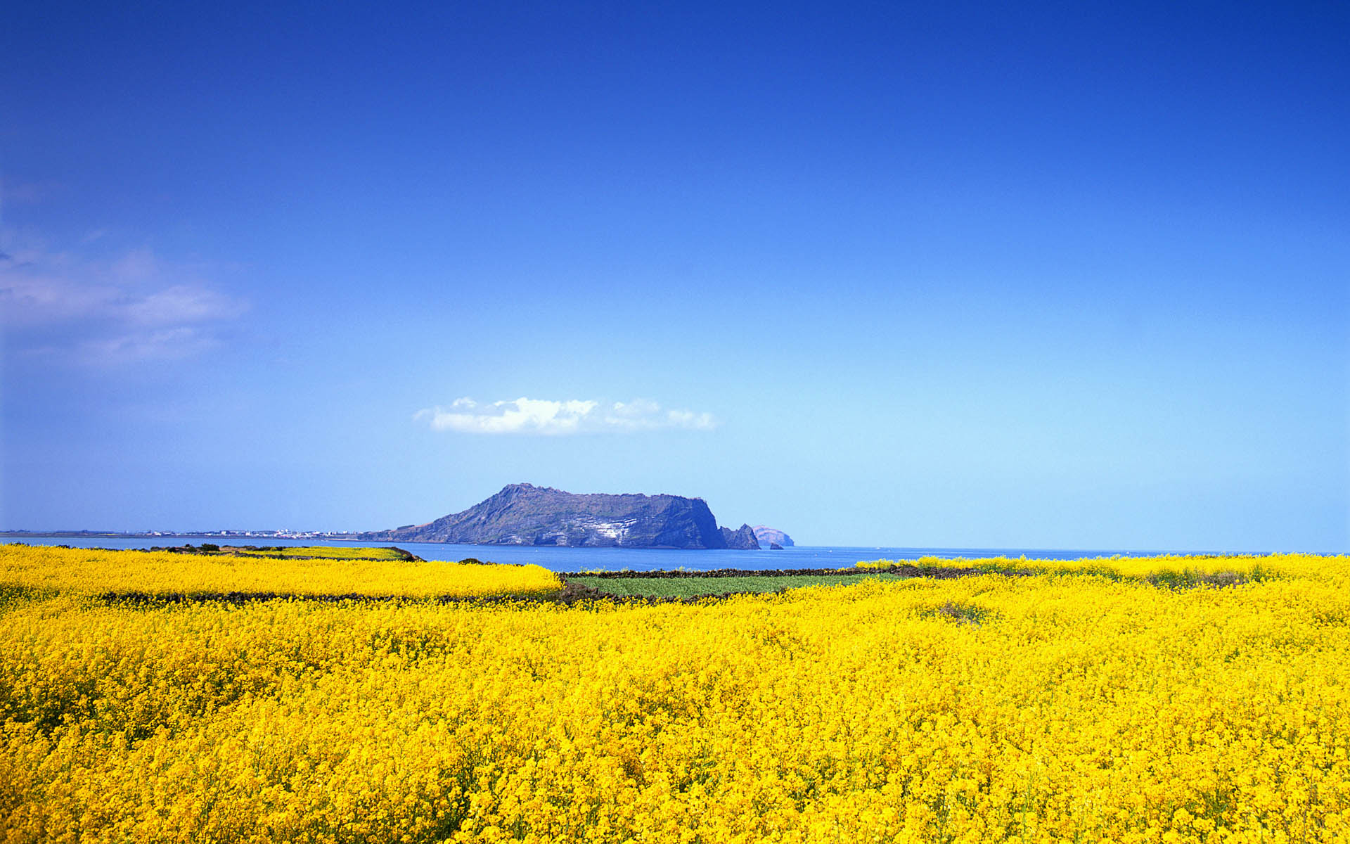 Wallpapers Landschap 