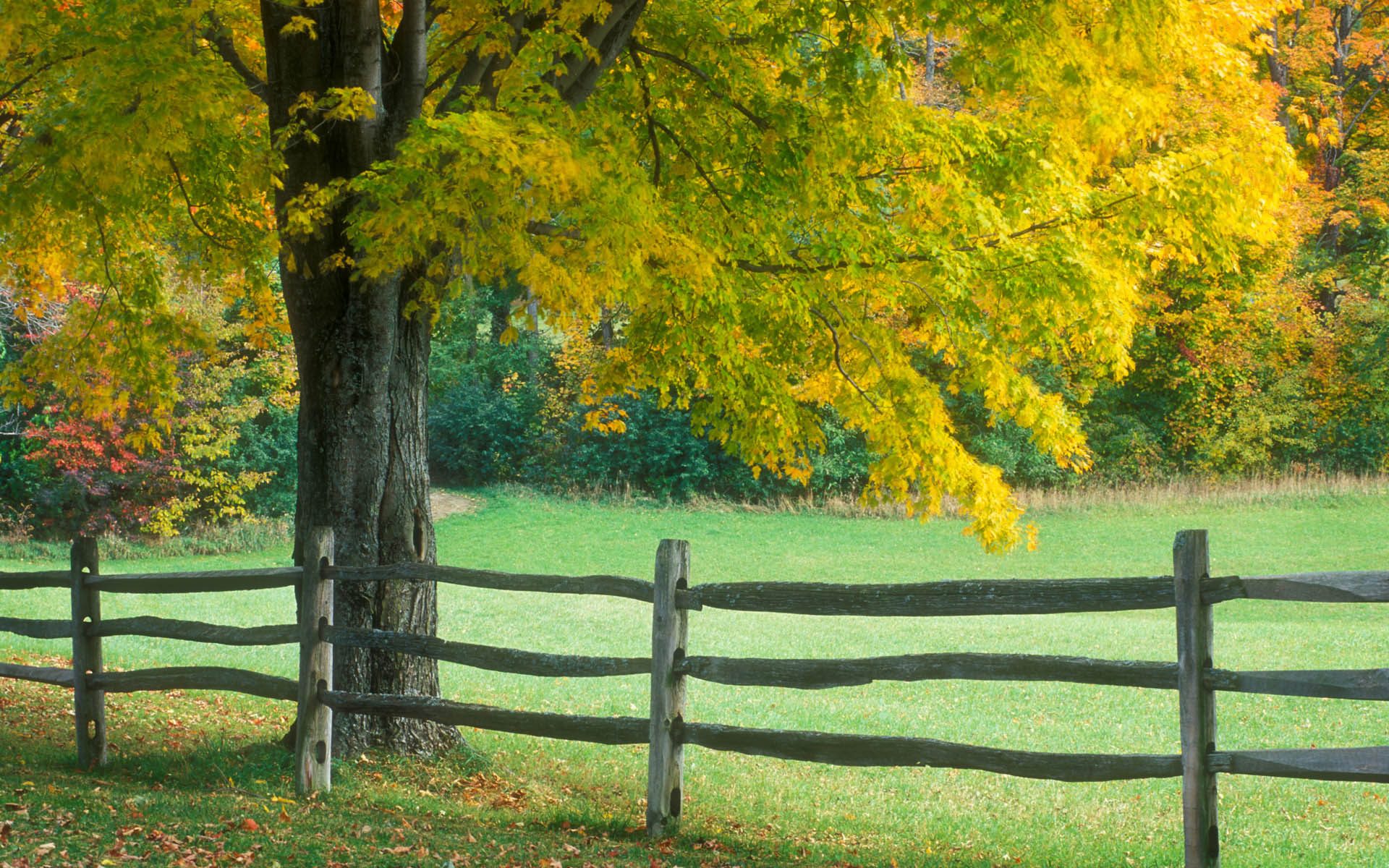 Wallpapers Landschap 