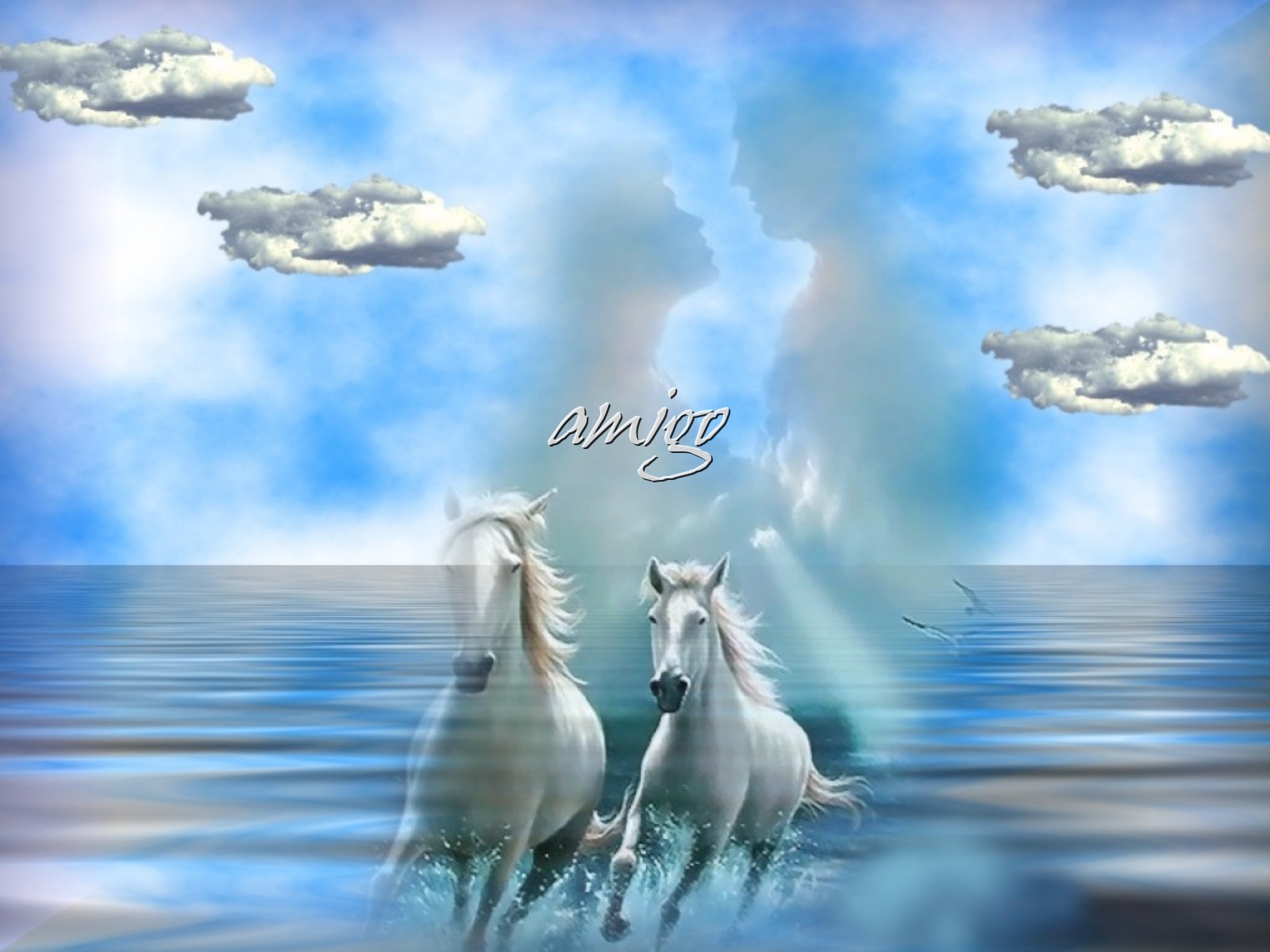 Paarden Wallpapers 