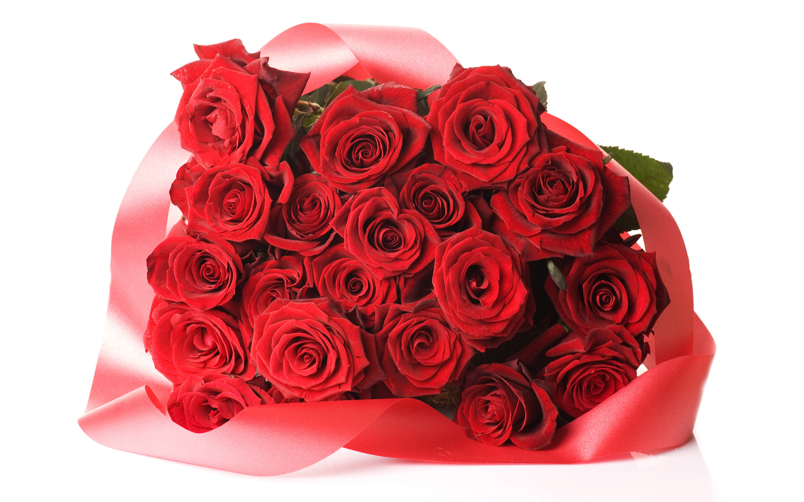 Rozen Wallpapers 