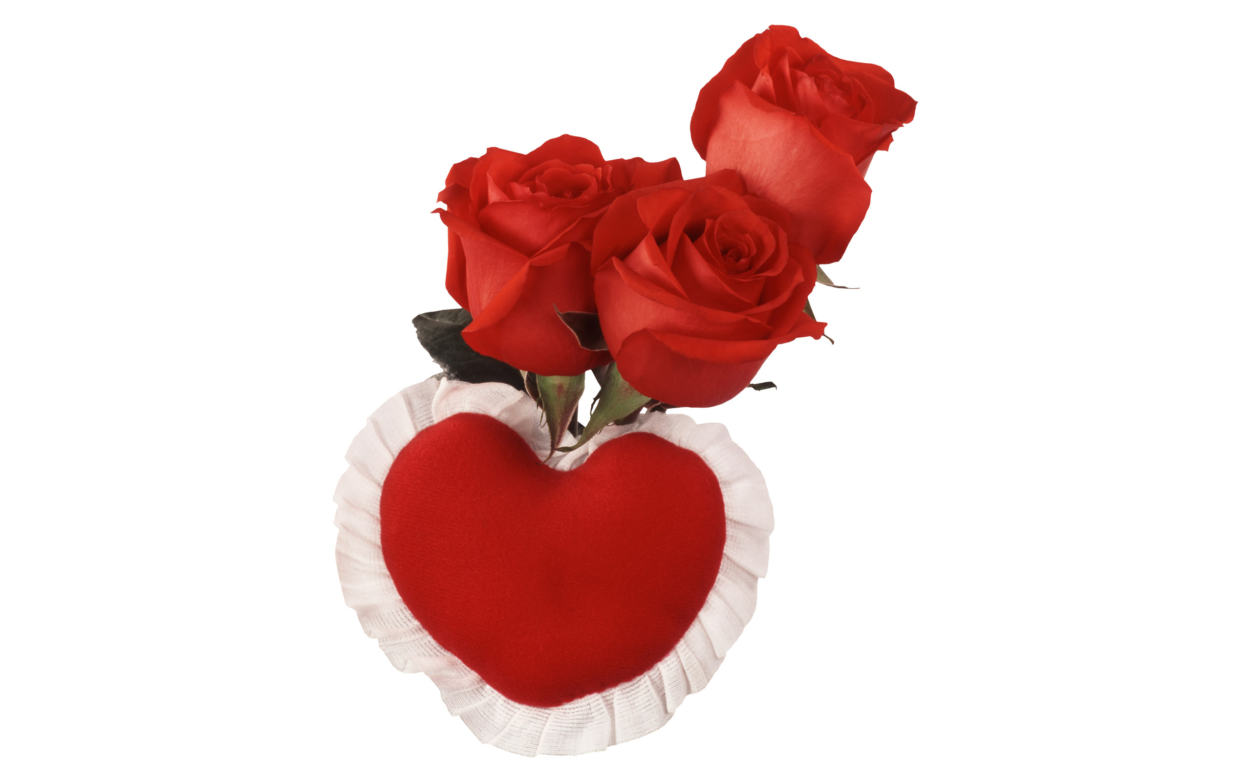 Rozen Wallpapers 