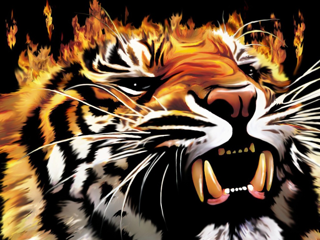Wallpapers Vuur effecten 