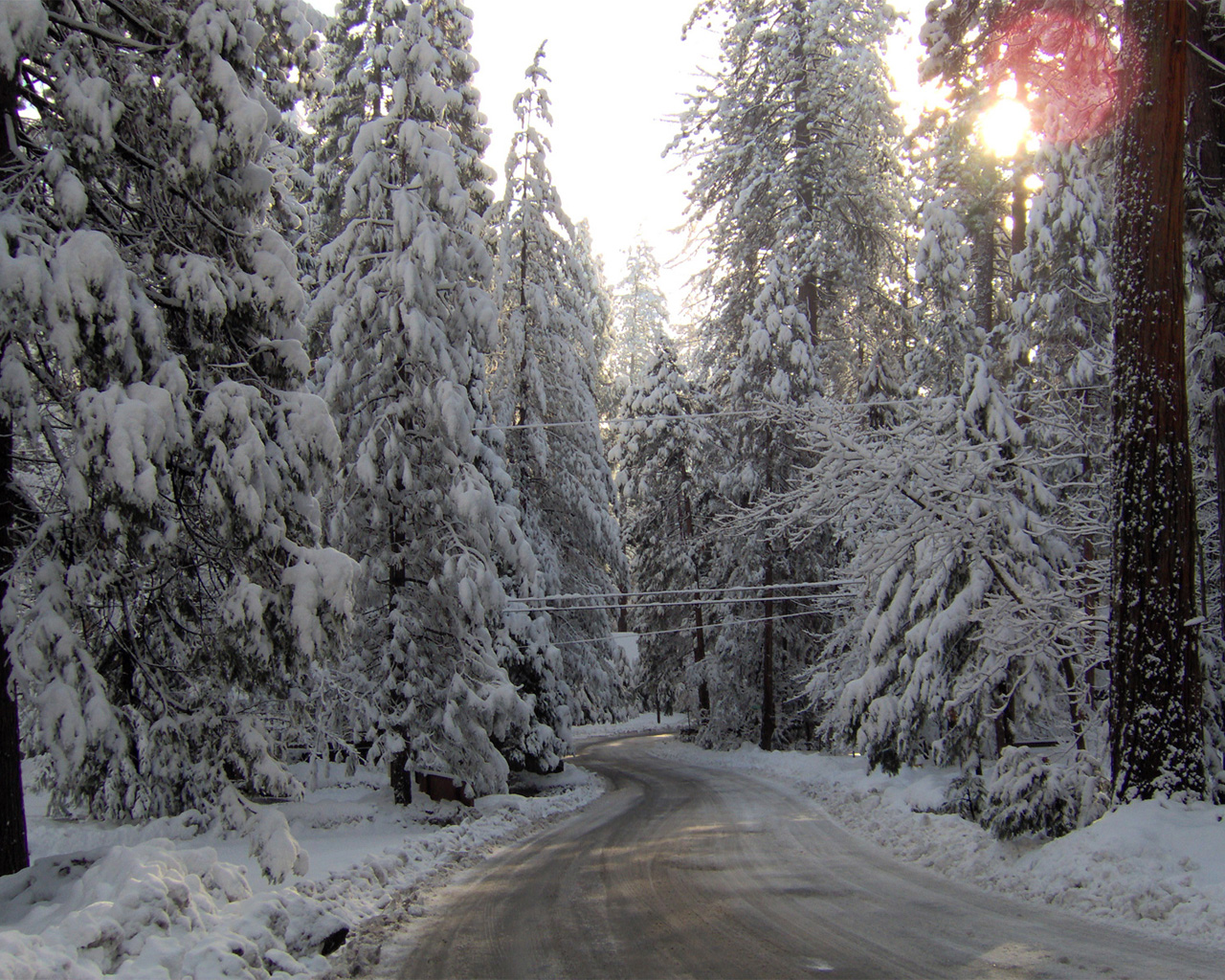 winter Wallpapers 