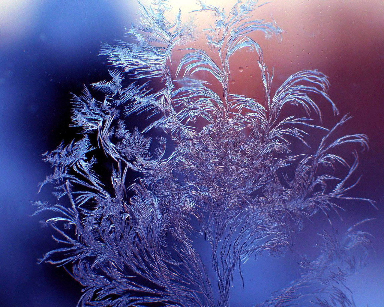 winter Wallpapers 