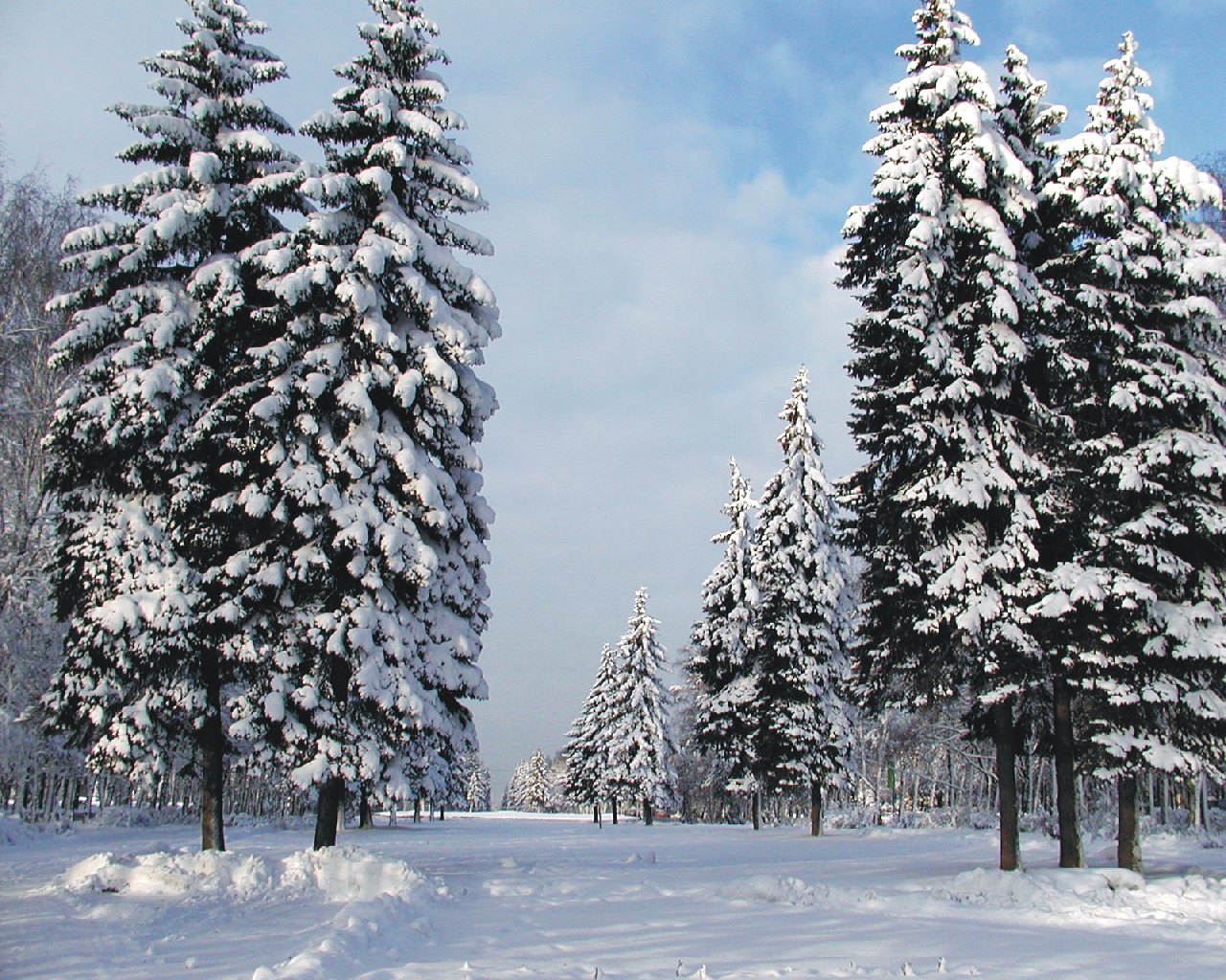 winter Wallpapers 