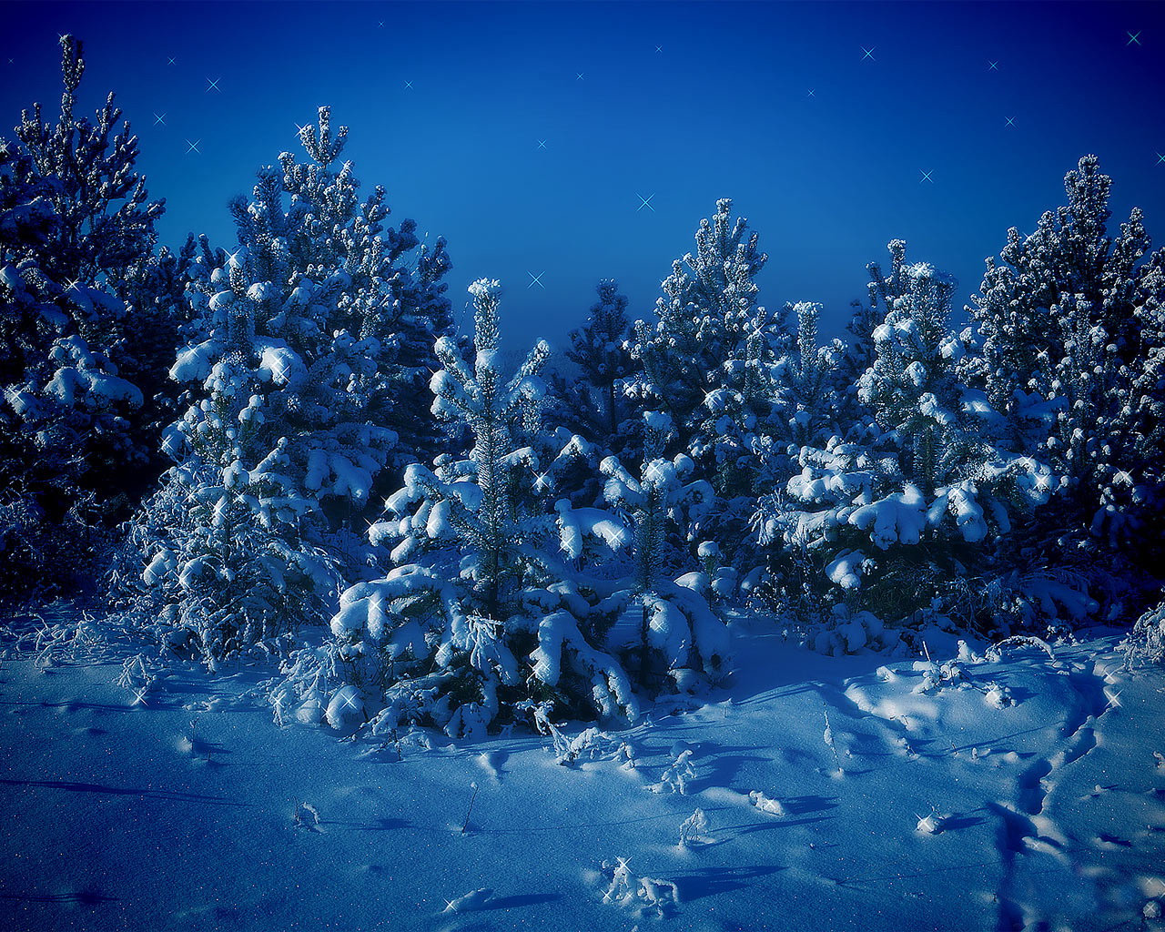winter Wallpapers 