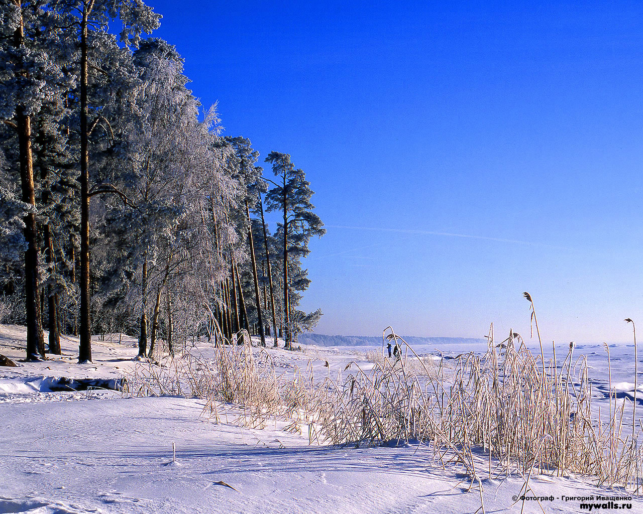 winter Wallpapers 