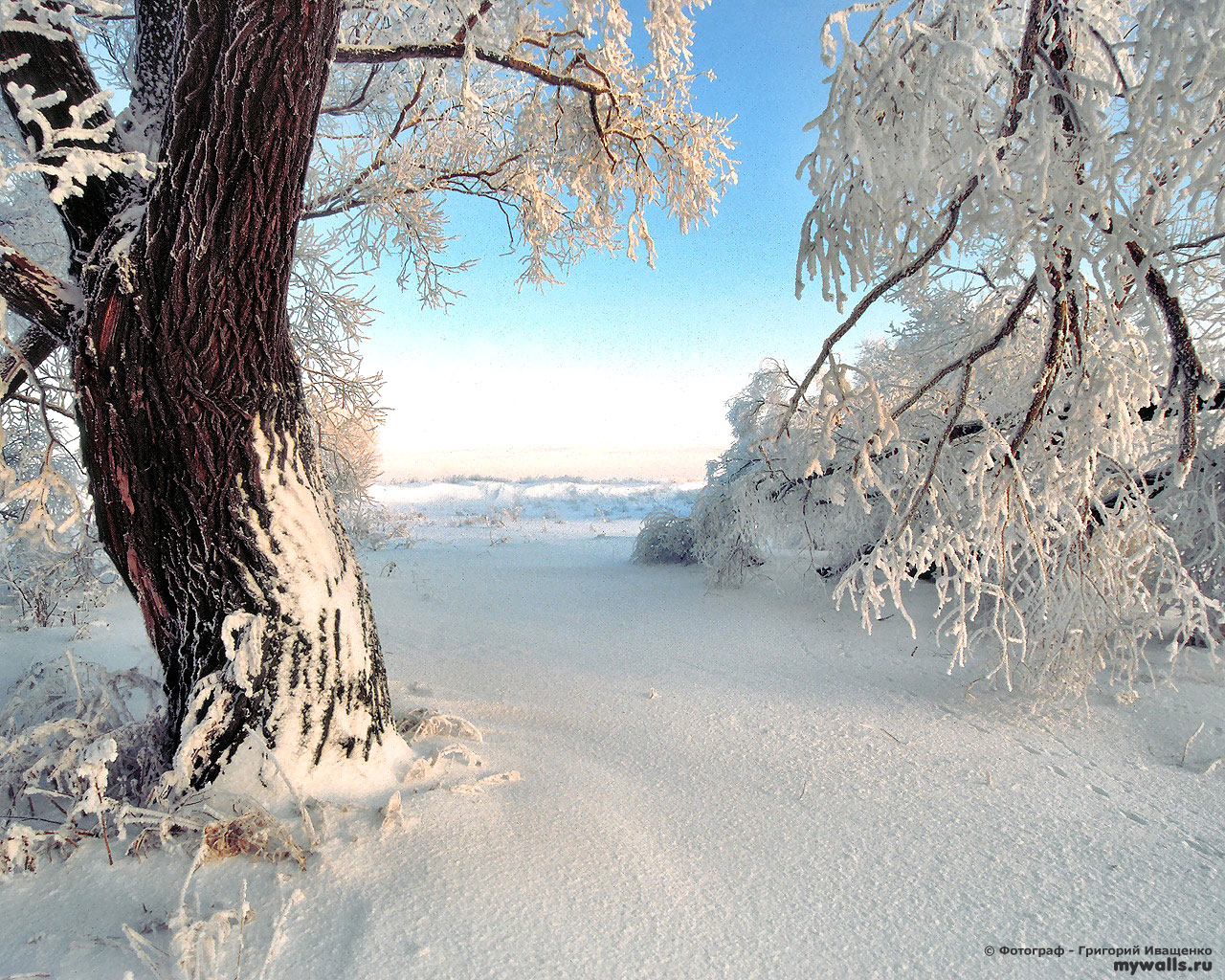 winter Wallpapers 