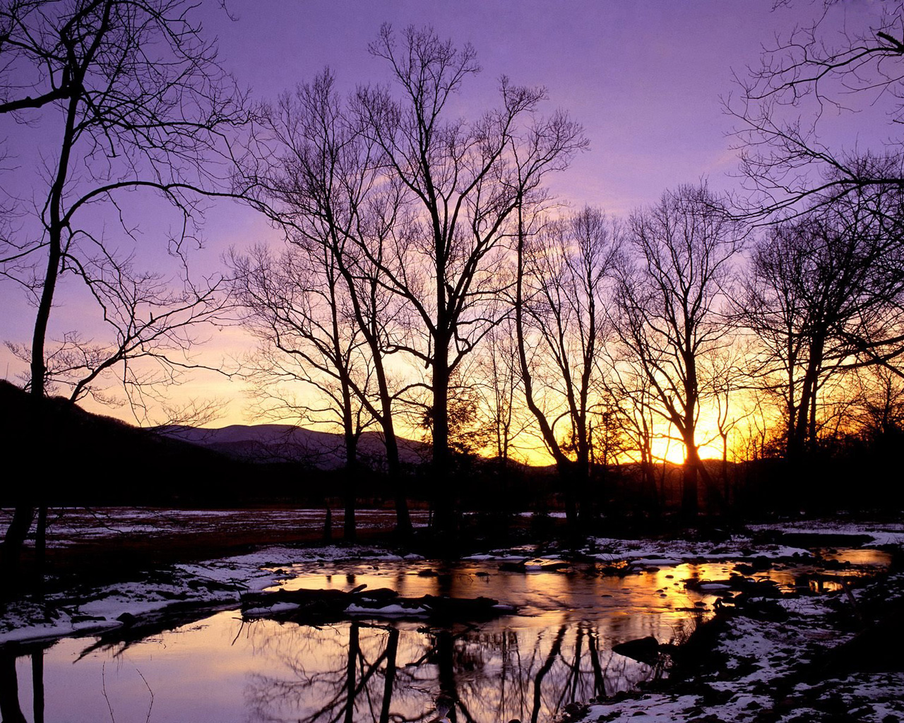 winter Wallpapers 