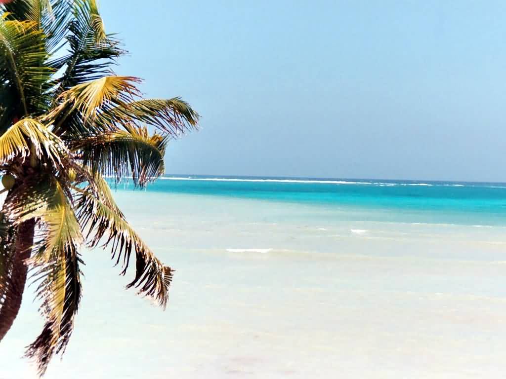 Wallpapers Zee en strand 