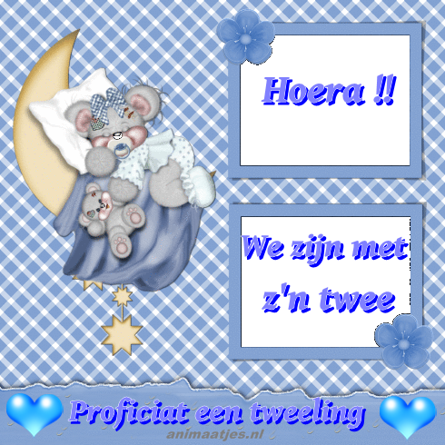Wenskaarten Geboorte tweeling 